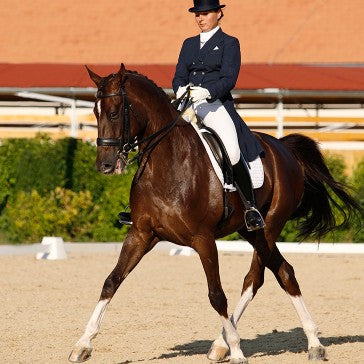 Dressage